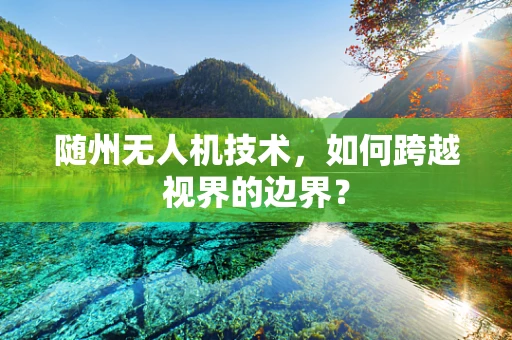 随州无人机技术，如何跨越视界的边界？
