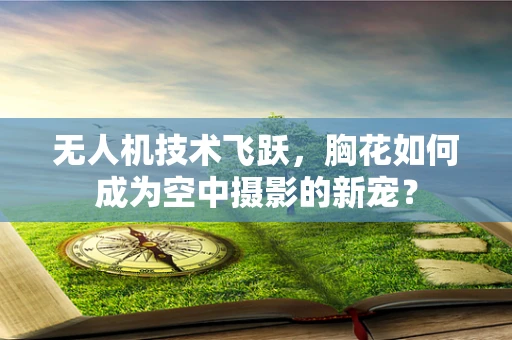 无人机技术飞跃，胸花如何成为空中摄影的新宠？