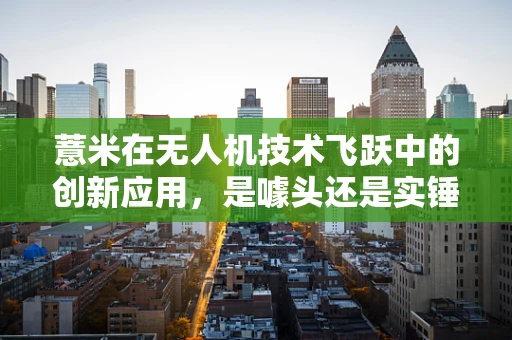 薏米在无人机技术飞跃中的创新应用，是噱头还是实锤？