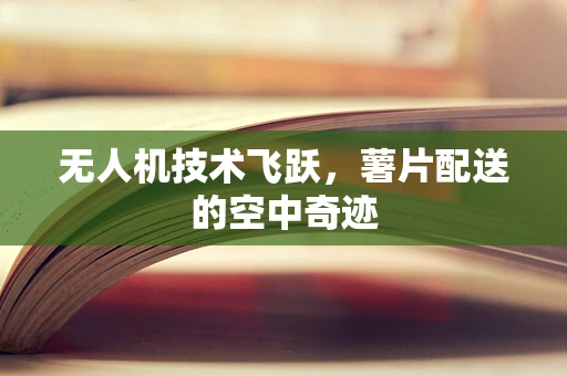 无人机技术飞跃，薯片配送的空中奇迹