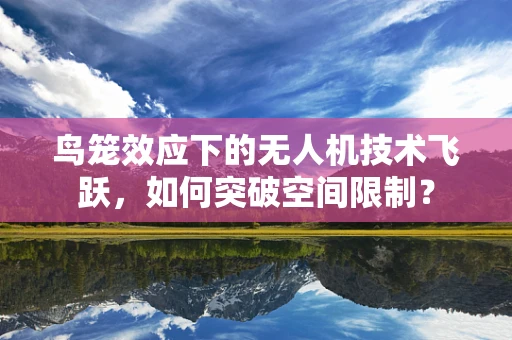 鸟笼效应下的无人机技术飞跃，如何突破空间限制？