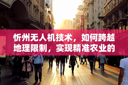忻州无人机技术，如何跨越地理限制，实现精准农业的飞跃？