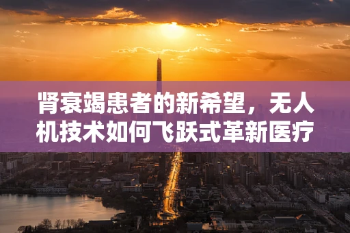 肾衰竭患者的新希望，无人机技术如何飞跃式革新医疗救援？