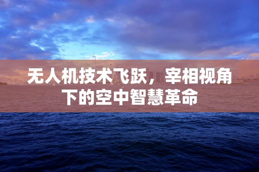 无人机技术飞跃，宰相视角下的空中智慧革命