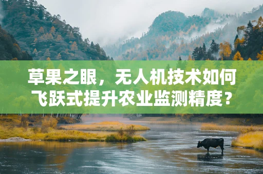草果之眼，无人机技术如何飞跃式提升农业监测精度？
