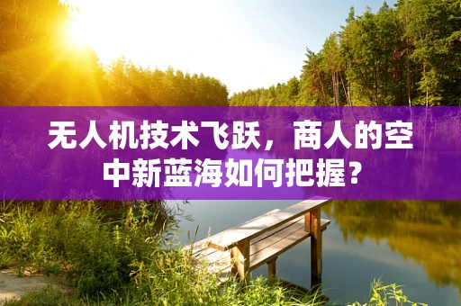 无人机技术飞跃，商人的空中新蓝海如何把握？