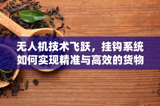 无人机技术飞跃，挂钩系统如何实现精准与高效的货物运输？