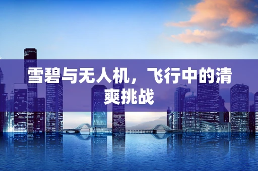 雪碧与无人机，飞行中的清爽挑战