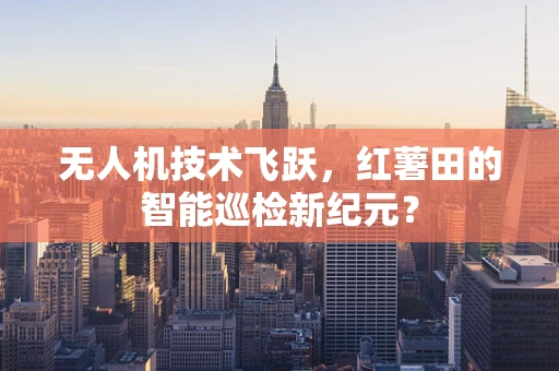 无人机技术飞跃，红薯田的智能巡检新纪元？