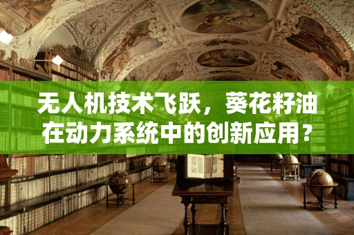 无人机技术飞跃，葵花籽油在动力系统中的创新应用？