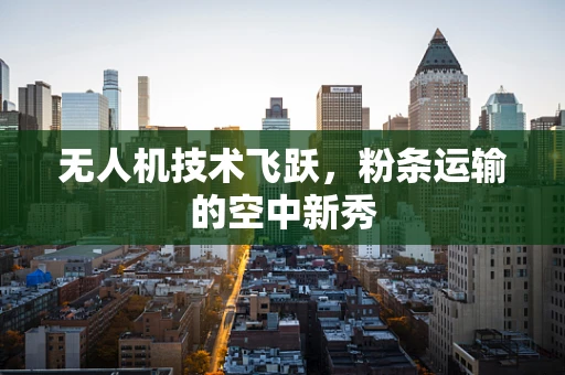 无人机技术飞跃，粉条运输的空中新秀