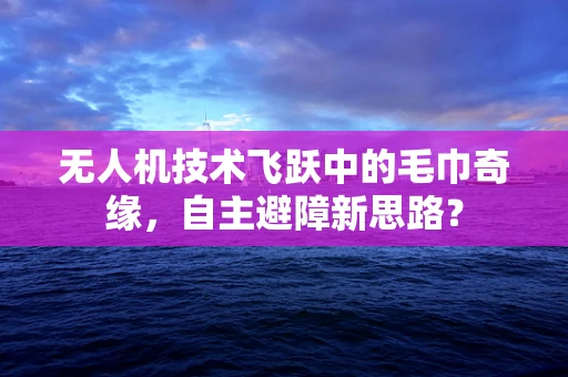 无人机技术飞跃中的毛巾奇缘，自主避障新思路？