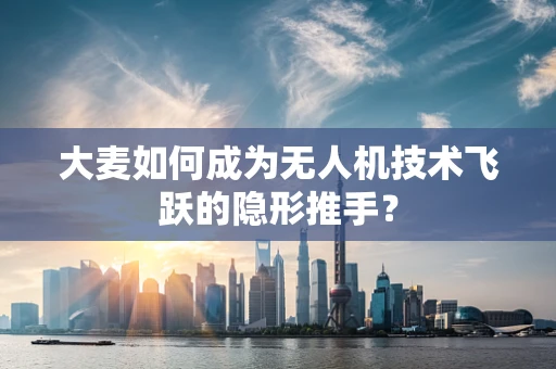 大麦如何成为无人机技术飞跃的隐形推手？