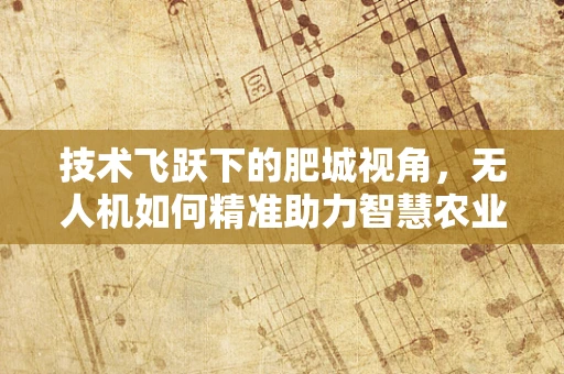 技术飞跃下的肥城视角，无人机如何精准助力智慧农业？