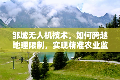 邹城无人机技术，如何跨越地理限制，实现精准农业监测？