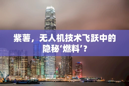 紫薯，无人机技术飞跃中的隐秘‘燃料’？