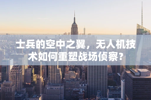 士兵的空中之翼，无人机技术如何重塑战场侦察？