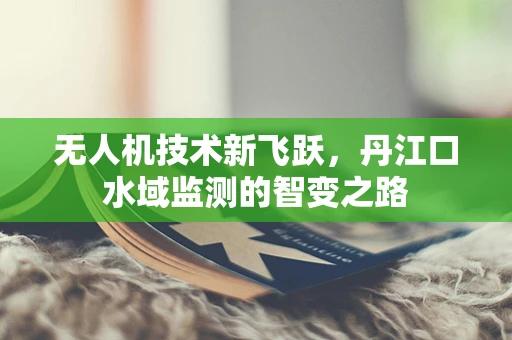 无人机技术新飞跃，丹江口水域监测的智变之路