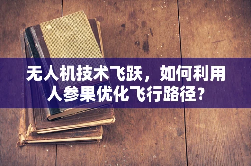 无人机技术飞跃，如何利用人参果优化飞行路径？