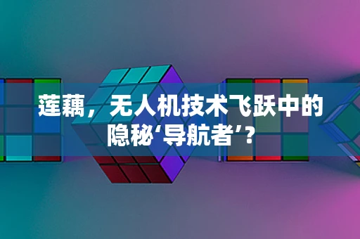莲藕，无人机技术飞跃中的隐秘‘导航者’？