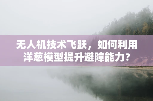 无人机技术飞跃，如何利用洋葱模型提升避障能力？