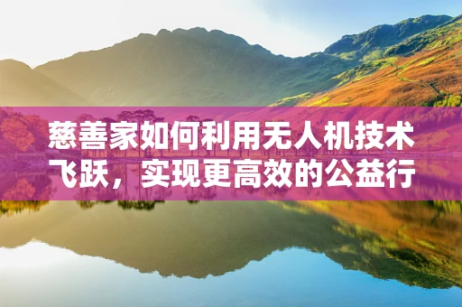 慈善家如何利用无人机技术飞跃，实现更高效的公益行动？