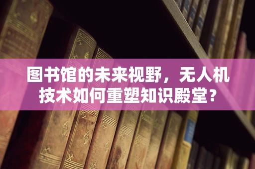 图书馆的未来视野，无人机技术如何重塑知识殿堂？