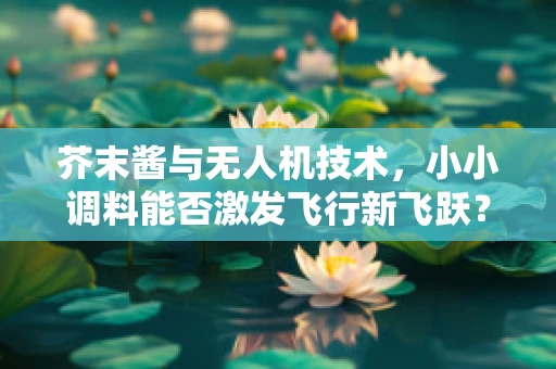 芥末酱与无人机技术，小小调料能否激发飞行新飞跃？