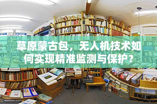 草原蒙古包，无人机技术如何实现精准监测与保护？