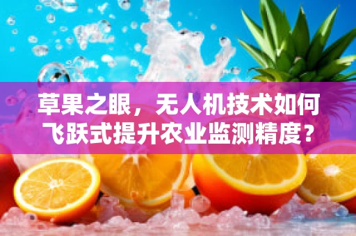 草果之眼，无人机技术如何飞跃式提升农业监测精度？