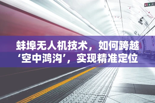 蚌埠无人机技术，如何跨越‘空中鸿沟’，实现精准定位与高效飞行？