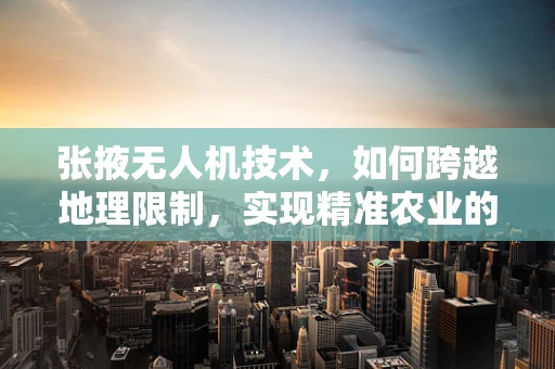 张掖无人机技术，如何跨越地理限制，实现精准农业的飞跃？