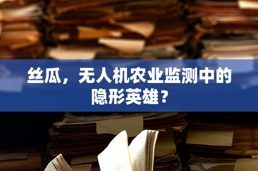 丝瓜，无人机农业监测中的隐形英雄？