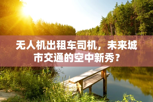 无人机出租车司机，未来城市交通的空中新秀？