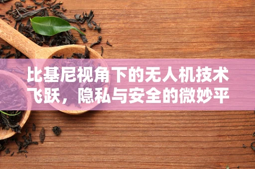 比基尼视角下的无人机技术飞跃，隐私与安全的微妙平衡