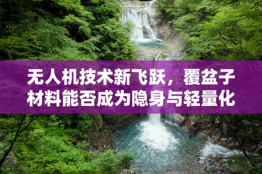 无人机技术新飞跃，覆盆子材料能否成为隐身与轻量化的双赢选择？