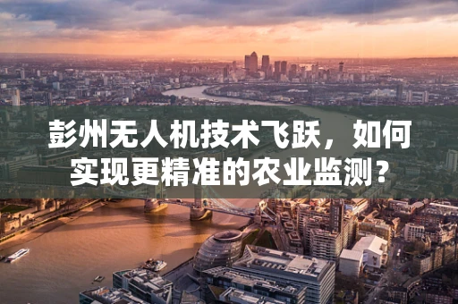 彭州无人机技术飞跃，如何实现更精准的农业监测？