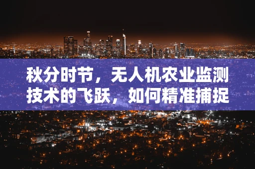秋分时节，无人机农业监测技术的飞跃，如何精准捕捉作物生长的黄金分割点？