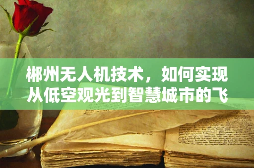 郴州无人机技术，如何实现从低空观光到智慧城市的飞跃？