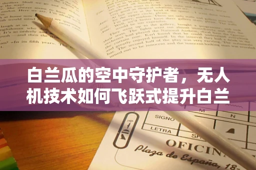白兰瓜的空中守护者，无人机技术如何飞跃式提升白兰瓜种植效率？
