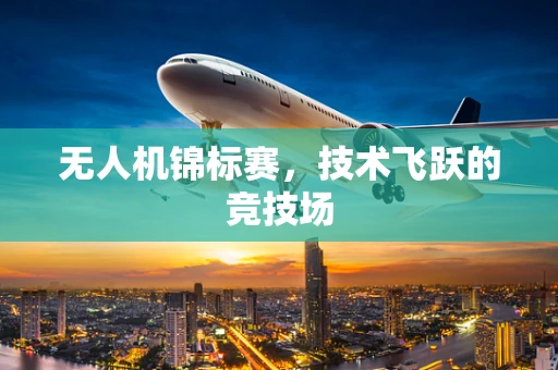 无人机锦标赛，技术飞跃的竞技场