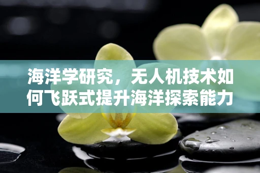 海洋学研究，无人机技术如何飞跃式提升海洋探索能力？