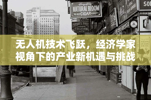 无人机技术飞跃，经济学家视角下的产业新机遇与挑战