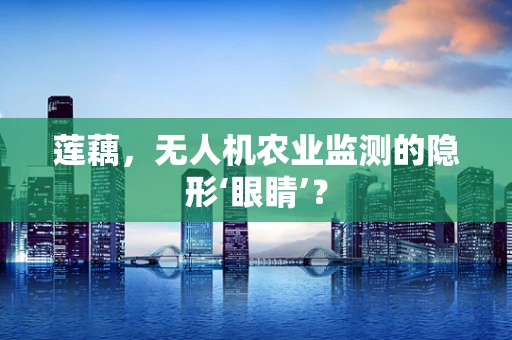 莲藕，无人机农业监测的隐形‘眼睛’？