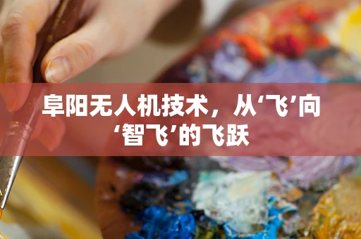 阜阳无人机技术，从‘飞’向‘智飞’的飞跃