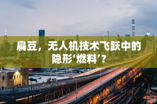 扁豆，无人机技术飞跃中的隐形‘燃料’？