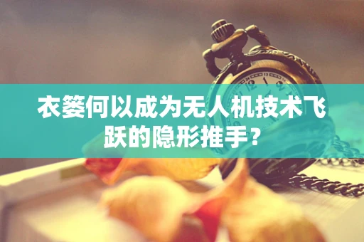 衣篓何以成为无人机技术飞跃的隐形推手？