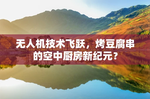 无人机技术飞跃，烤豆腐串的空中厨房新纪元？