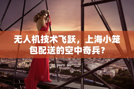 无人机技术飞跃，上海小笼包配送的空中奇兵？