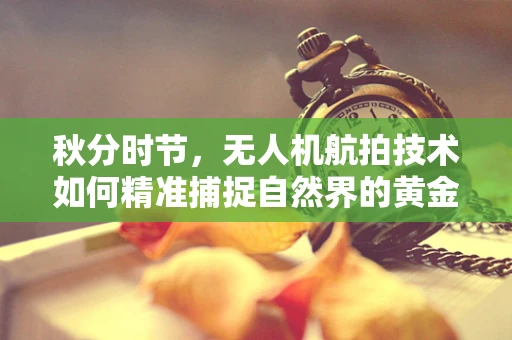 秋分时节，无人机航拍技术如何精准捕捉自然界的黄金分割？